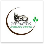Bamako Logo - Conacul Zichy